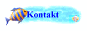 Kontakt/Mietpreise